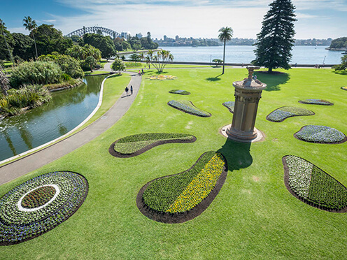 Manicured flower beds in lozenge shapes, overlooking Sydney Harbour
