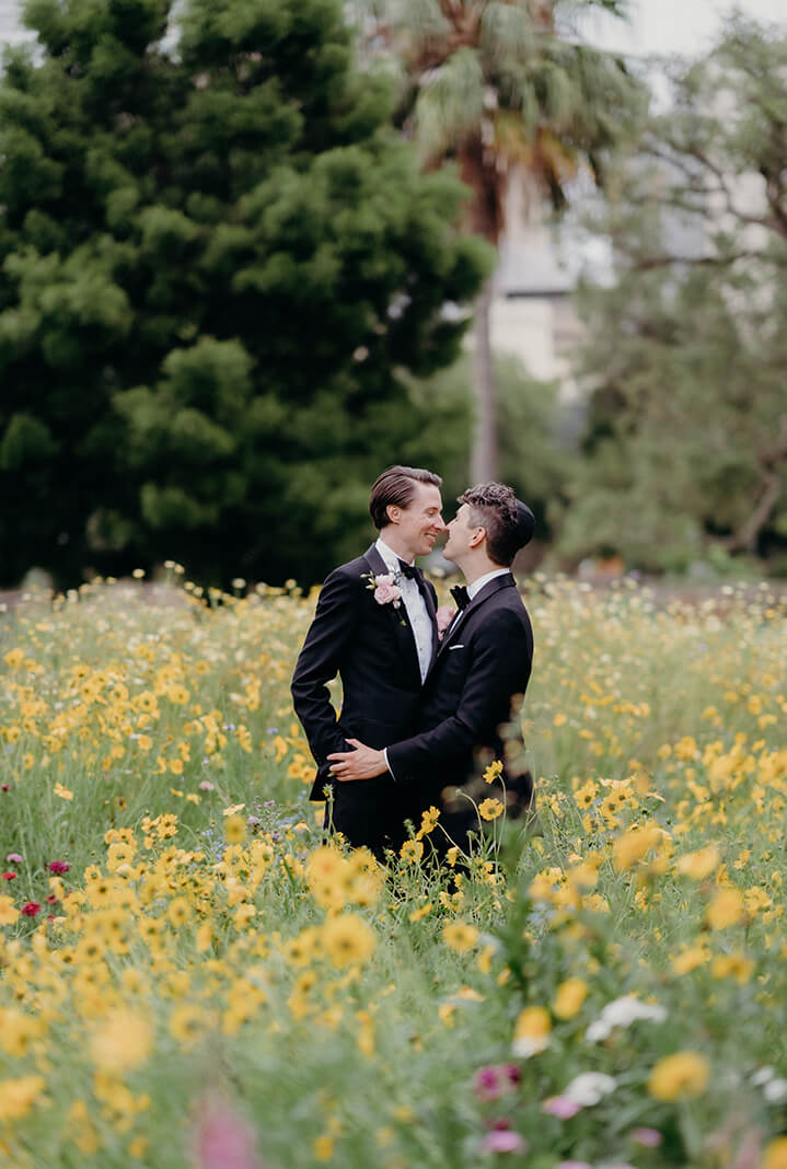 Two grooms in a meadow of yellow wildflowers