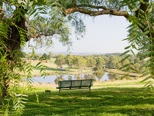 Bench amongst trees overlooking the view of the Garden