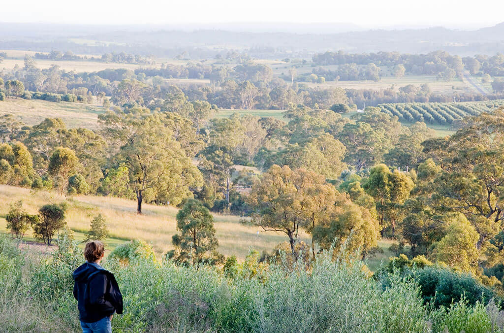 Woman standing at the top of a hill in the Australian Botanic Garden Mount Annan admiring the view