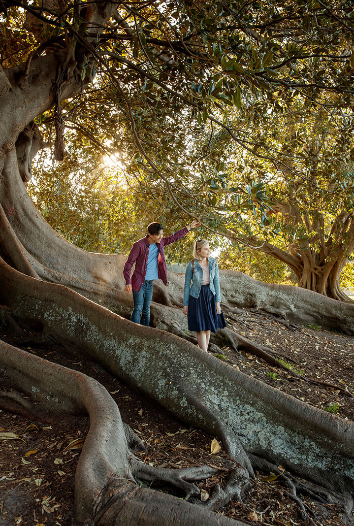 Couple exploring the base of a large tree