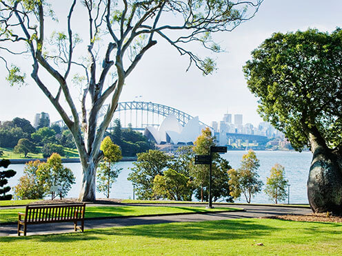 The Garden looking out to Sydney Harbour on a clear day