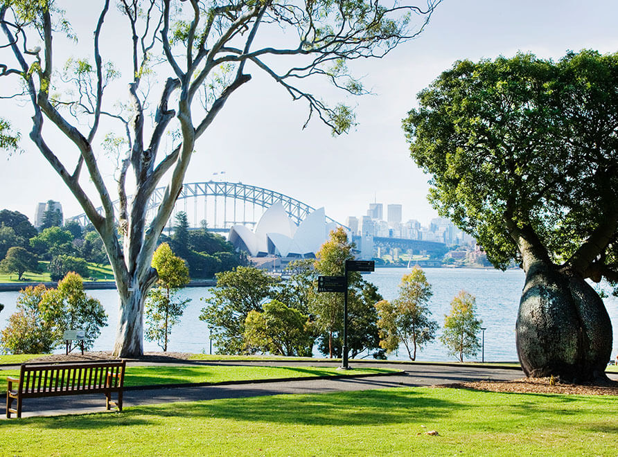 The Garden looking out to Sydney Harbour on a clear day