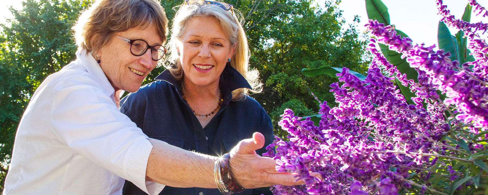 Two women admiring purple flowers on a tour of the Garden