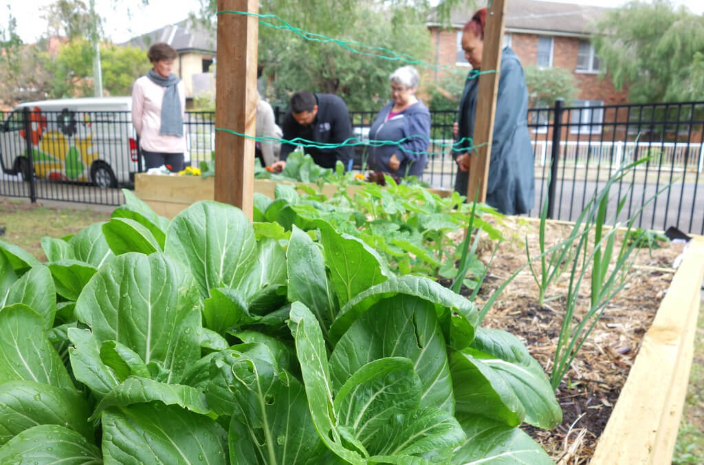 community greening planting vegetables