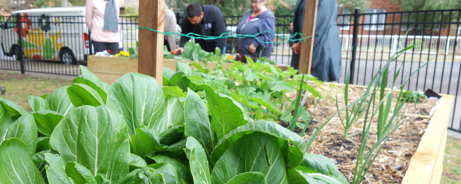 group planting vegetables