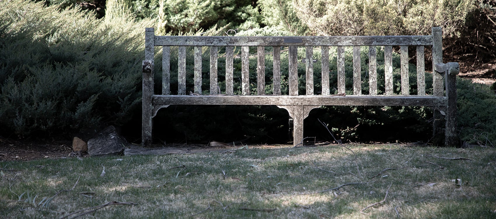 Bench at Blue Mountains Botanic Garden