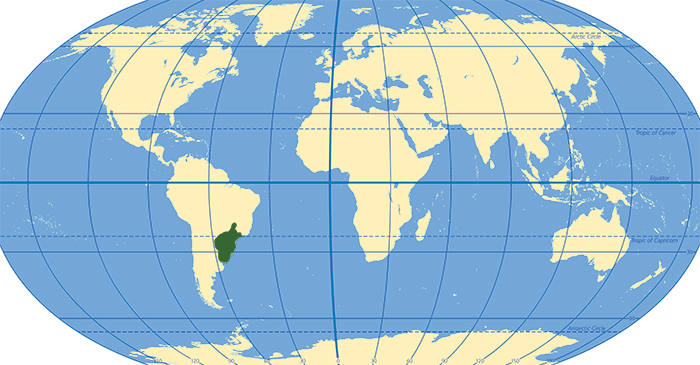 Map of Begonia Semperflorens' habitat