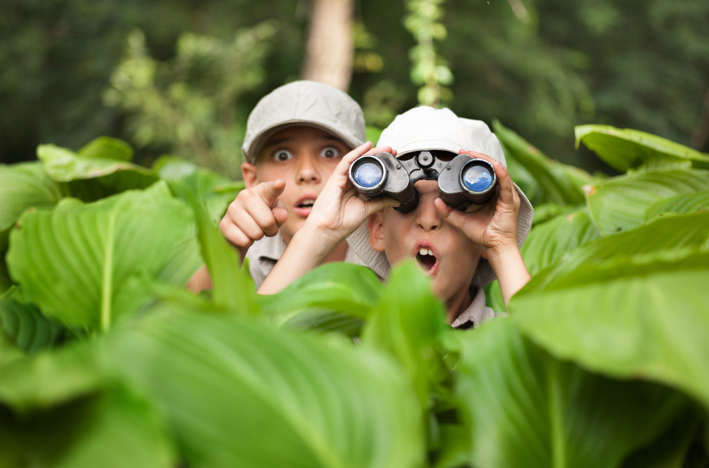 wild detectives vacation care program close up