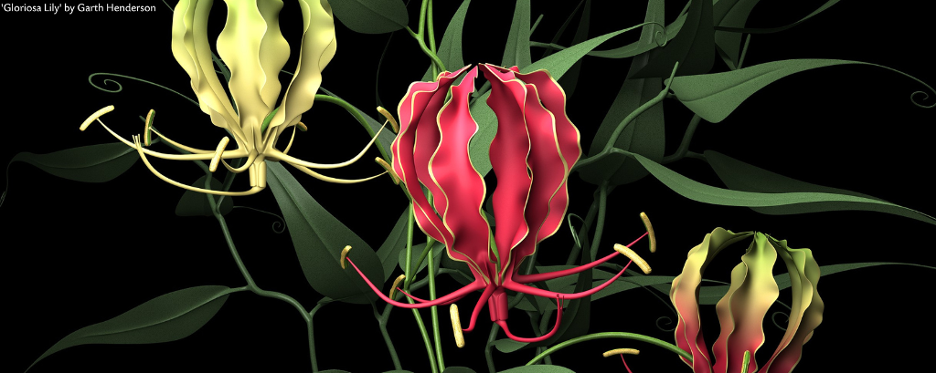 botanica exhibition close up