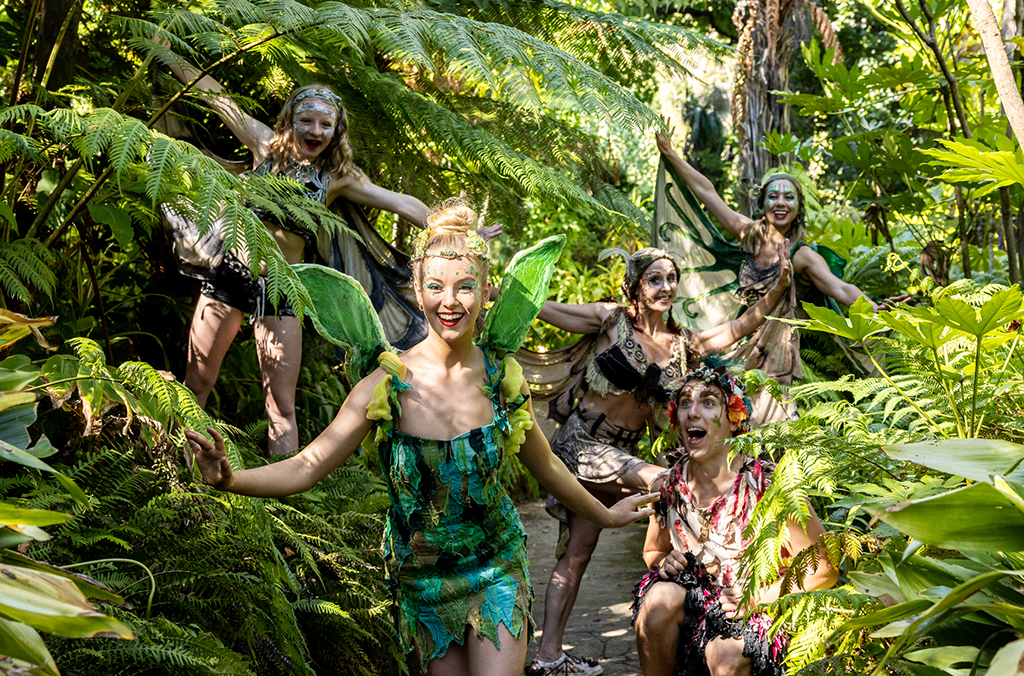 tinkerbell fairies