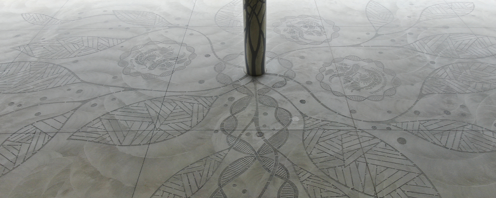 Intricate First Nations artwork sandblasted onto a concrete forecourt at the National Herbarium of New South Wales