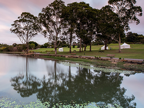 Lake with green lawns and eucalyptus trees surrounding it, at sunset