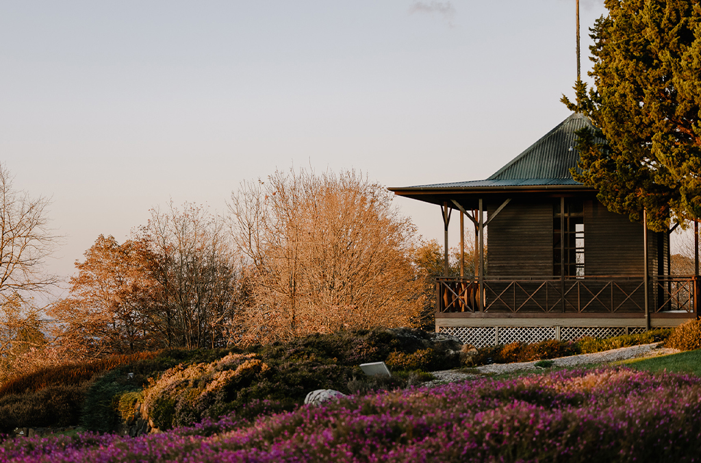 Asian pavilion next to purple flowering heather groundcover and autumnal trees