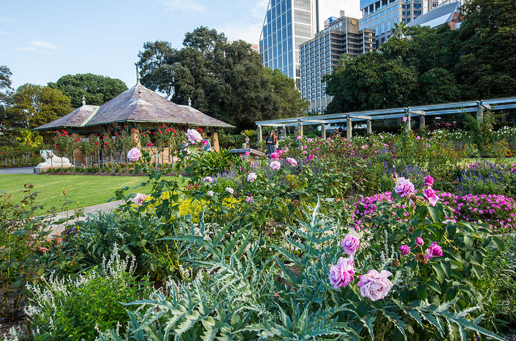 Lush rose gardens and pavilion