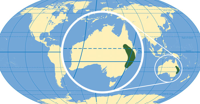 Map of Pineapple Zamia's habitat