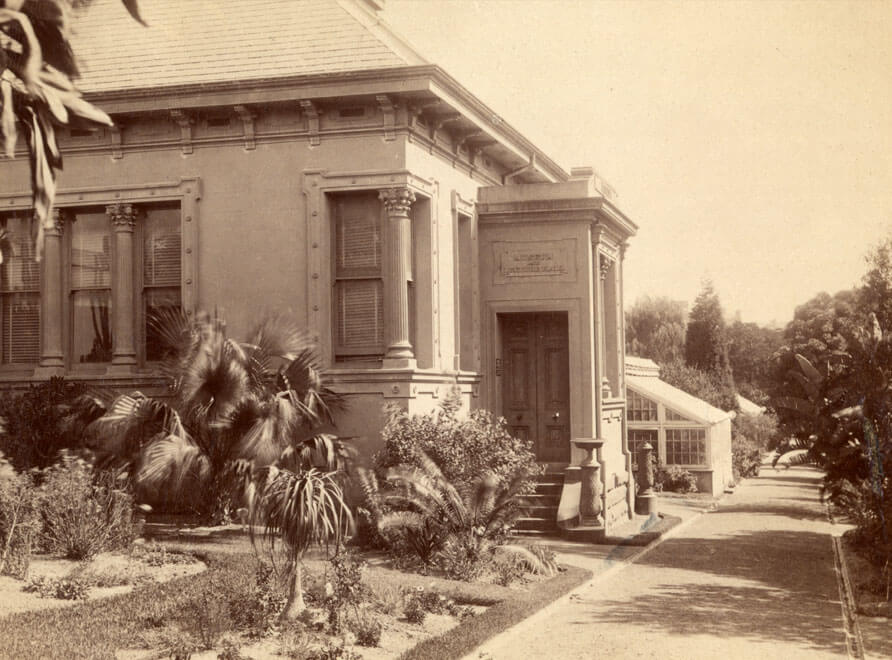 The Royal Botanic Garden Sydney's old Herbarium building with a path in front of it and a glasshouse in the background to the left.