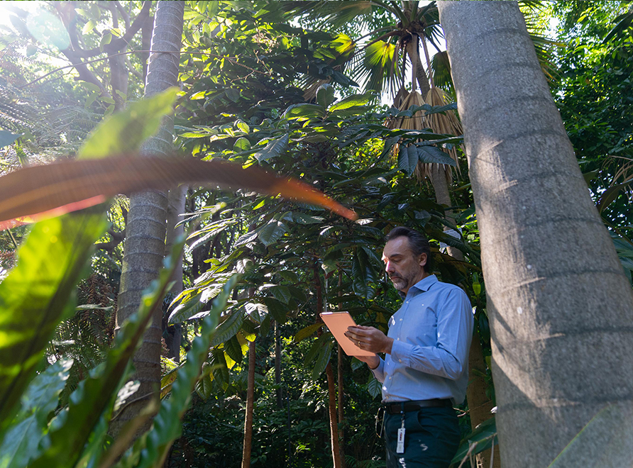 Dr Maurizio Rossetto with a tablet, in the rainforest setting of the Palm Grove at Royal Botanic Garden Sydney