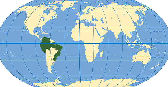 Map of the Neoregelia Bromeliad's habitat
