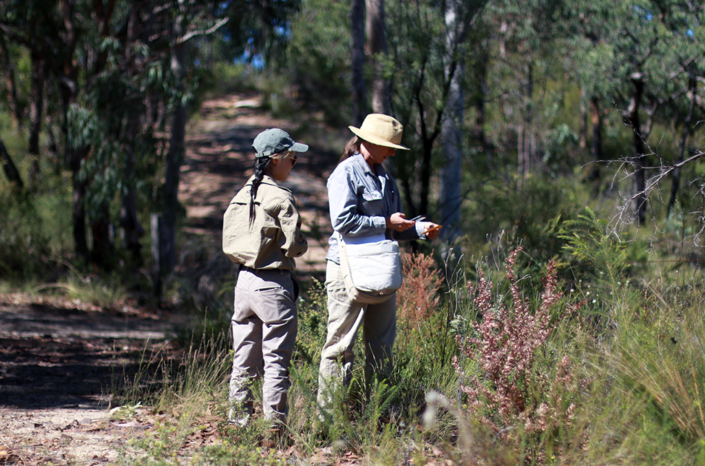 Two scientists in bushland, collecting seeds
