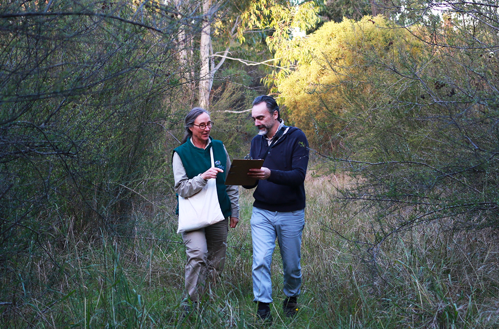 Two scientists in bushland, collecting seeds