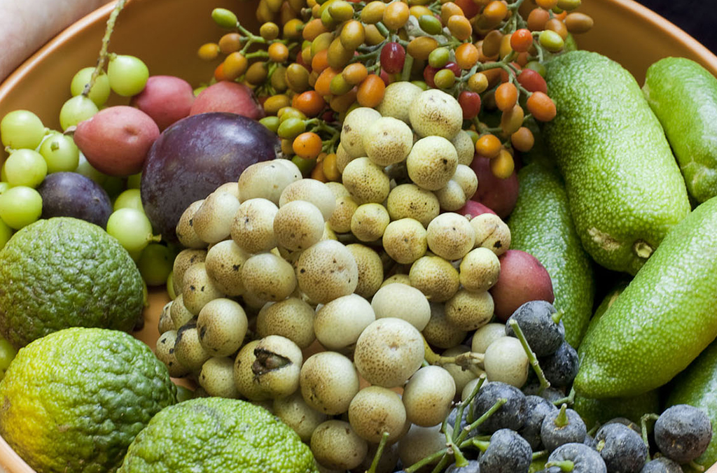 Bowl of mixed rainforest seeds and fruits