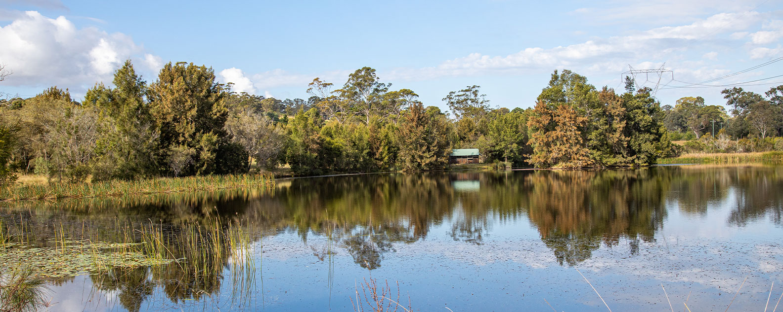 Lake Nadungamba looking across the water to the bird hide