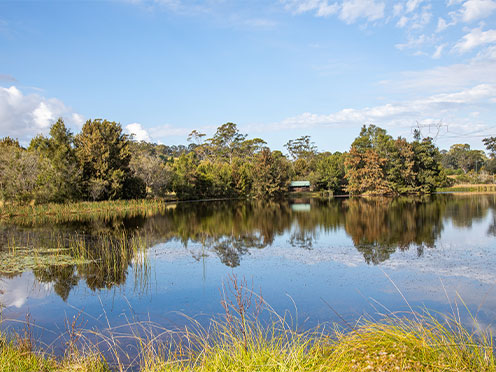 Lake Nadungamba looking across the water to the bird hide