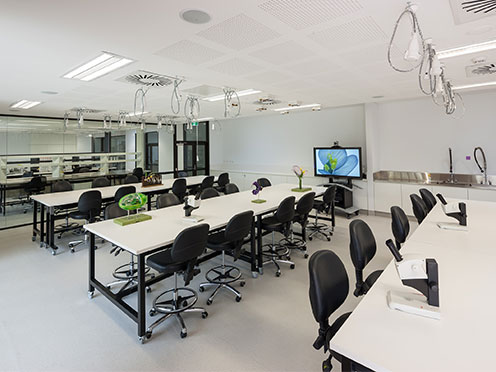 Persoonia Lab with tables, chairs and microscopes set up