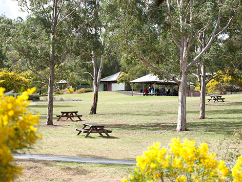 The Wattle Garden picnic area with tables and trees and a shelter