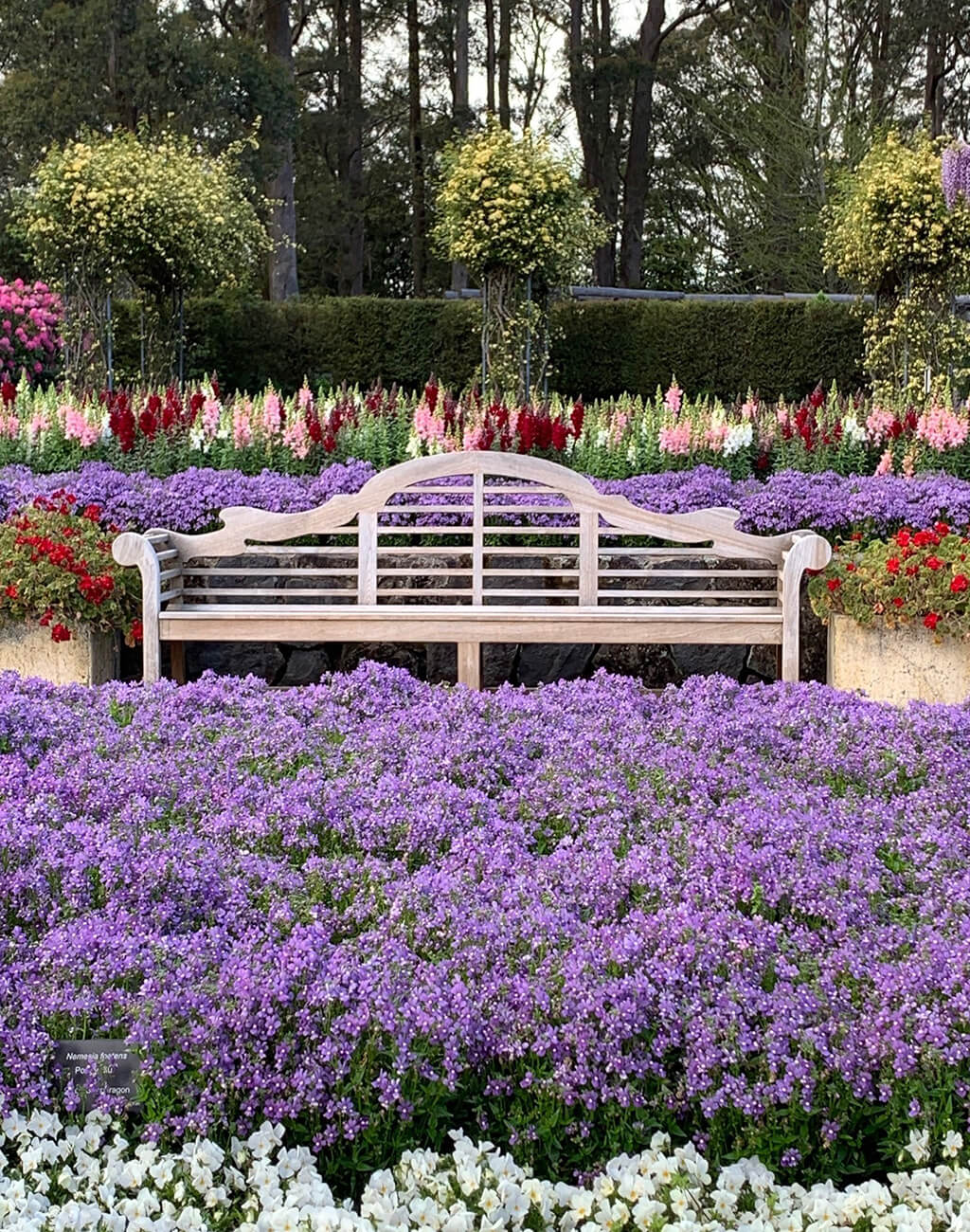 Garden bench surrounded by purple, white and red spring flowers