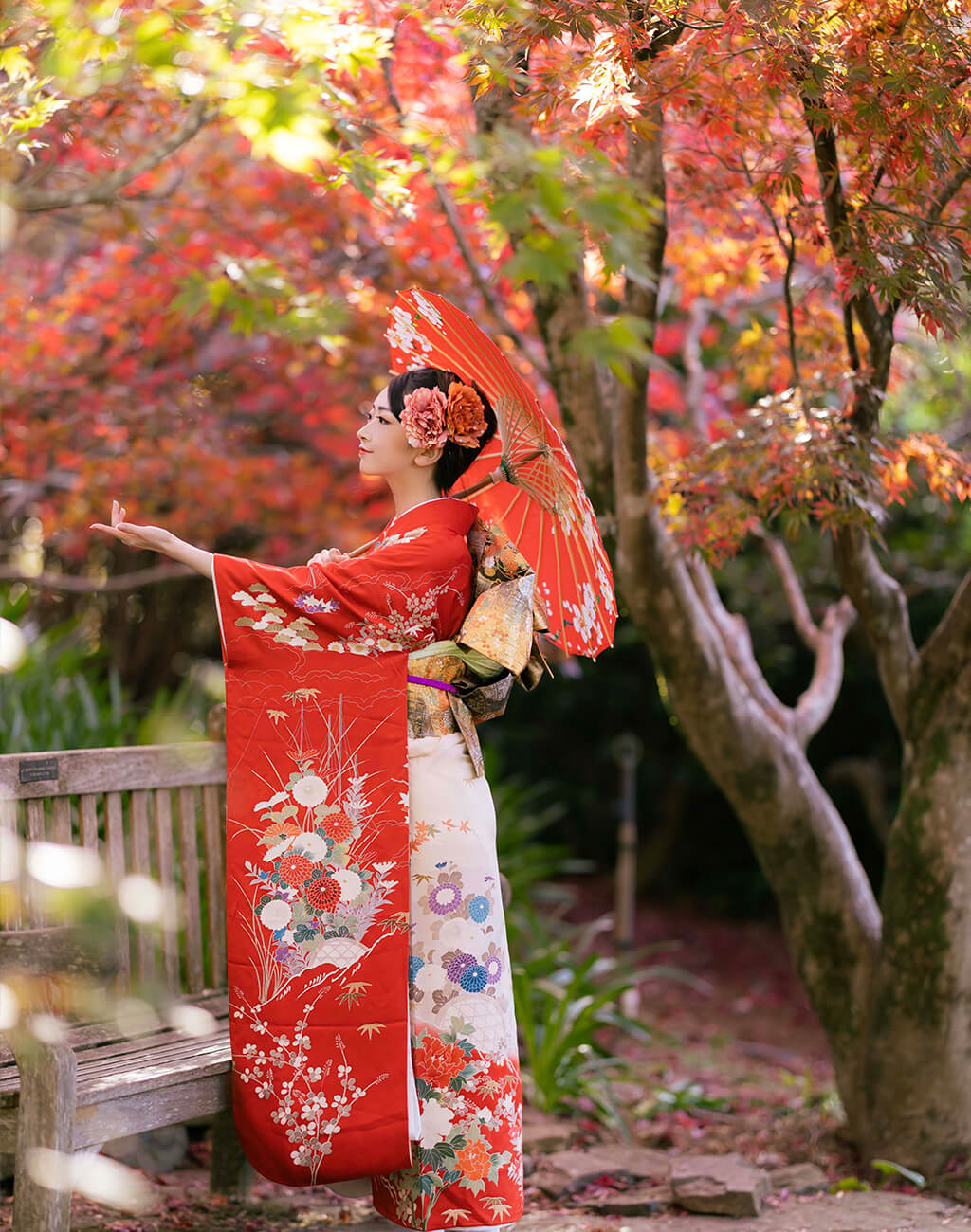 Woman wearing traditional kimono and with a parasol, among red-leaved maples
