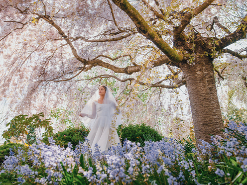 Bride under cherry blossom tree