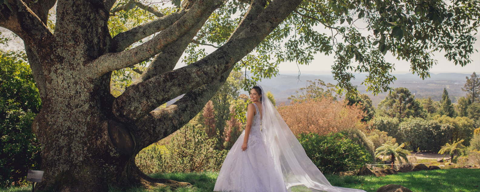 Bride on lush lawn next to magnificent Nepalese Alder tree, with stunning views of the Blue Mountains