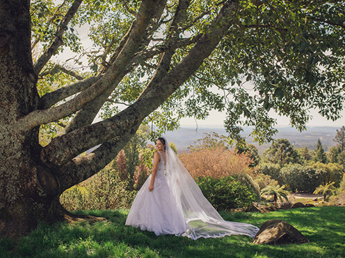 Bride on lush lawn next to magnificent Nepalese Alder tree, with stunning views of the Blue Mountains