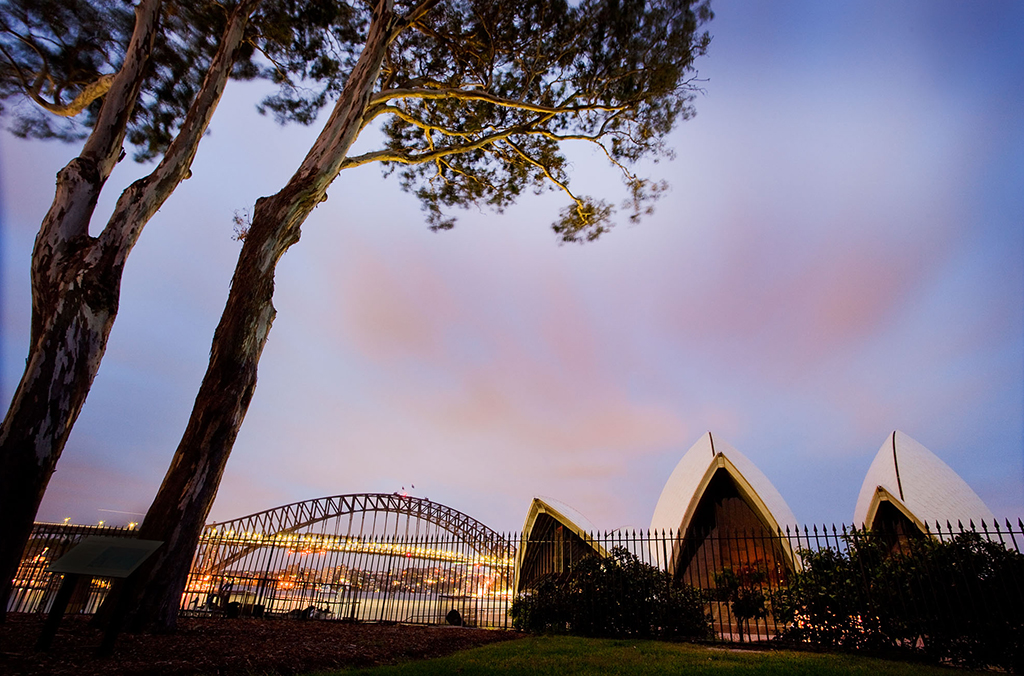 View of Sydney Opera House and Sydney Harbour Bridge from lawn, at sunset