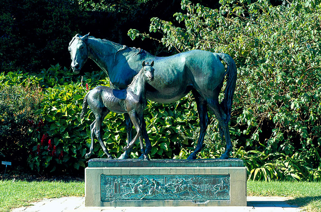 Mare and Foal Lawn