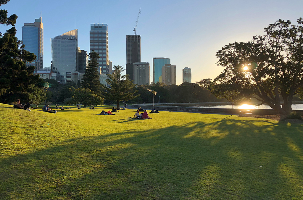 View of lawn looking towards Sydney city skyline
