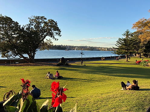 View of harbourside from sunlit lawn