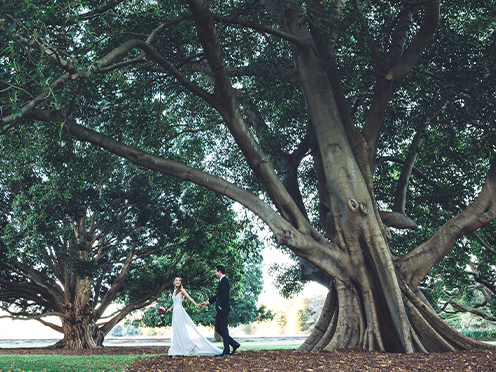 Bride and groom walk under a fig tree