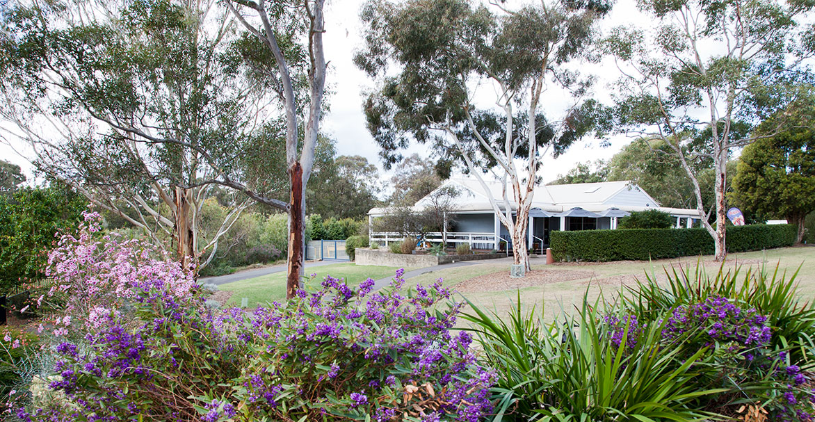 The Garden's Cafe at the Australian Botanic Garden surrounded by trees