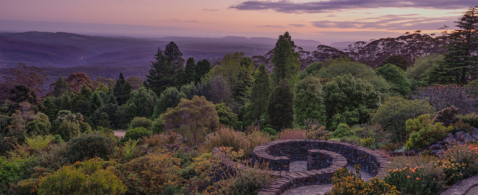 View of the spiral at the Blue Mountains Botanic Garden during sunset
