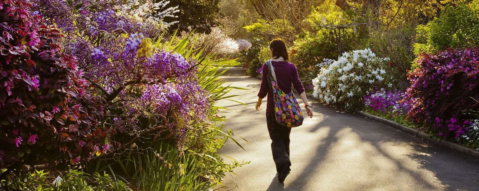 walking along garden pathway