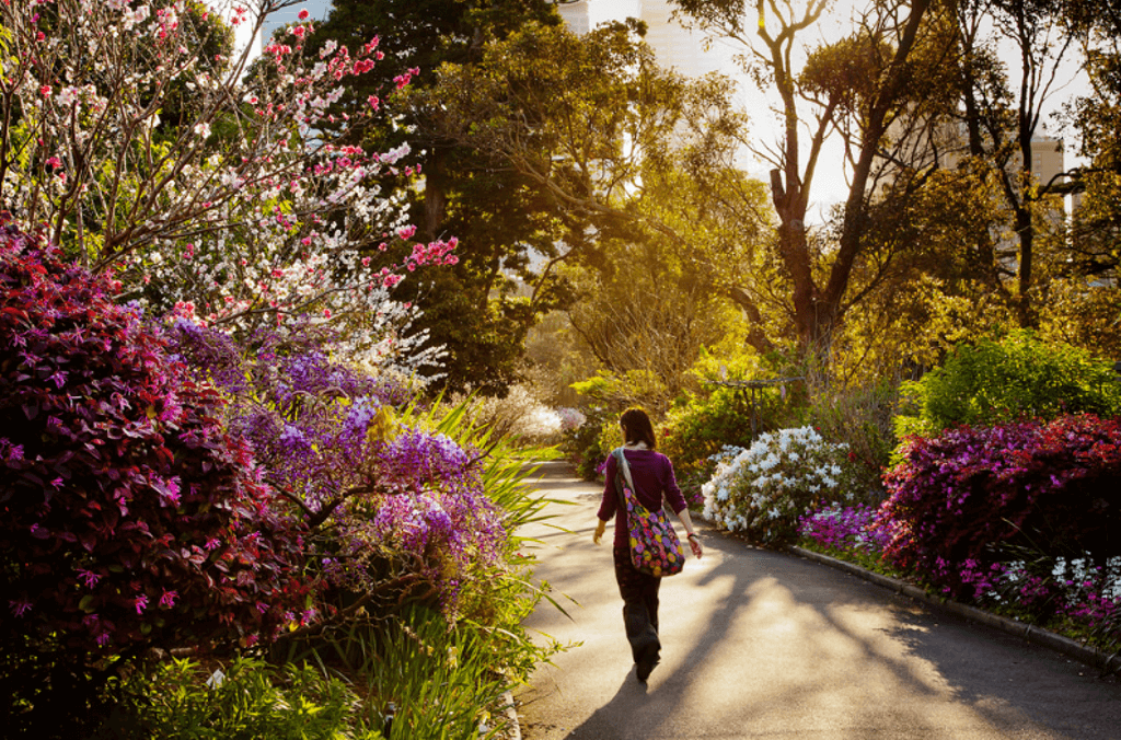 spring walk rbg