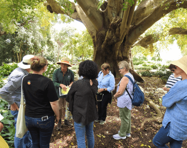 Fig walk thumbnail