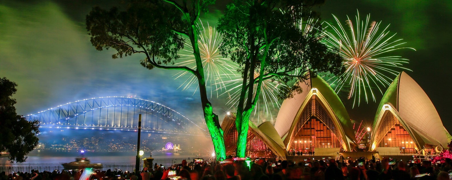 View of NYE Fireworks from Bennelong Lawn