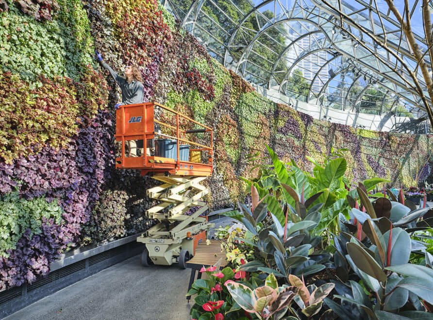 the calyx green wall