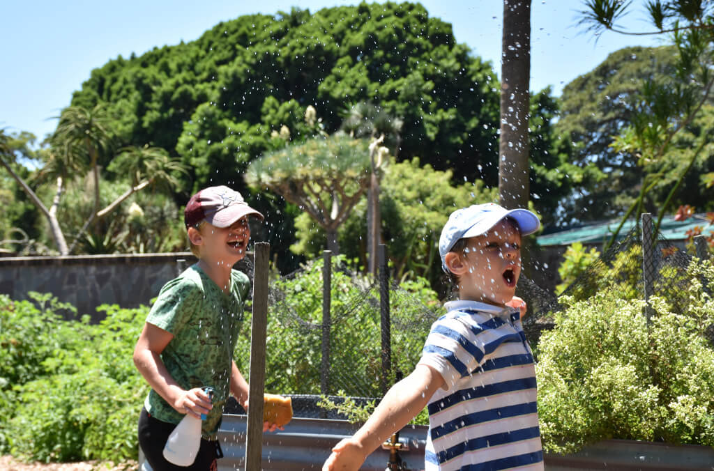 sunshine survivors - kids playing in the garden