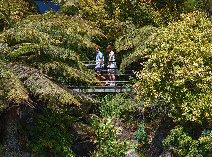 Two kids on a bridge in the forest
