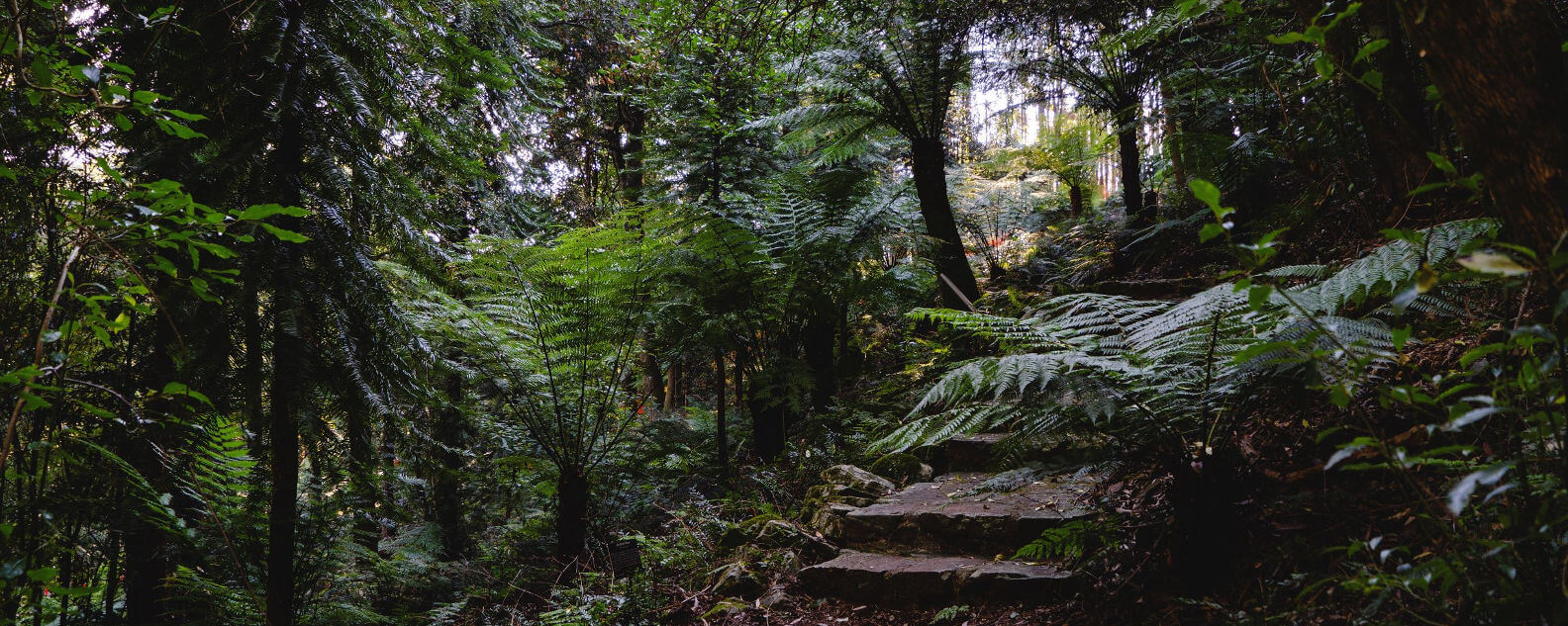 bmbg nature therapy hero banner